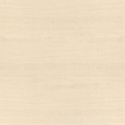 D2460 MAT Klon biały