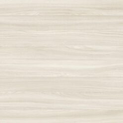 D3158 MX Jesion Werona