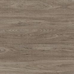 D3822 OW Dąb Dublin