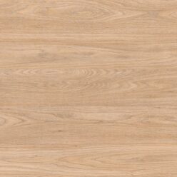 D3823 OW Dąb Nowy Jork