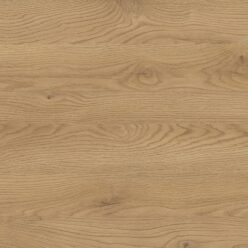 D4033 OW Dąb Słoneczny