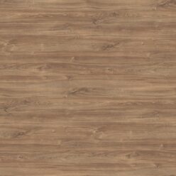 H1113 ST10 Dąb Kansas brązowy