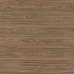 H1212 ST33 Wiąz Tossini brązowy