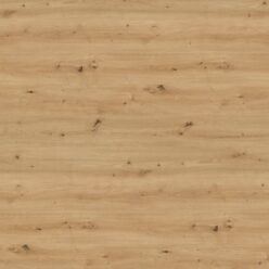 H1318 ST10 Dab dziki naturalny