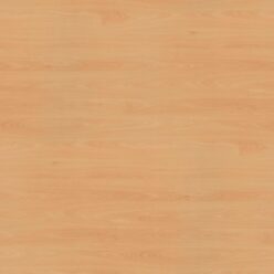 H1582 ST15 Buk Ellmau