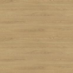 H3395 ST12 Dąb Corbridge naturalny