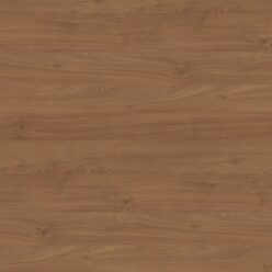 H3398 ST12 Dąb Kendal koniakowy