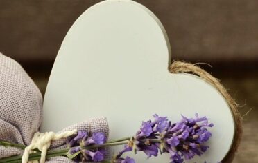 Lawenda w szafie Komandor