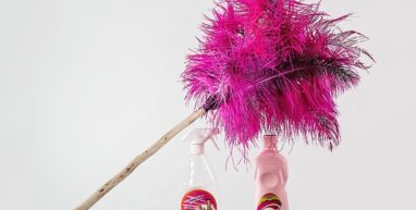 Feather duster 709124 1280